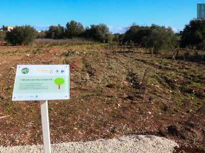 Qualche metro pi� avanti il nostro cammino vira bruscamente verso destra e conduce davanti a un campo arato da poco tempo...